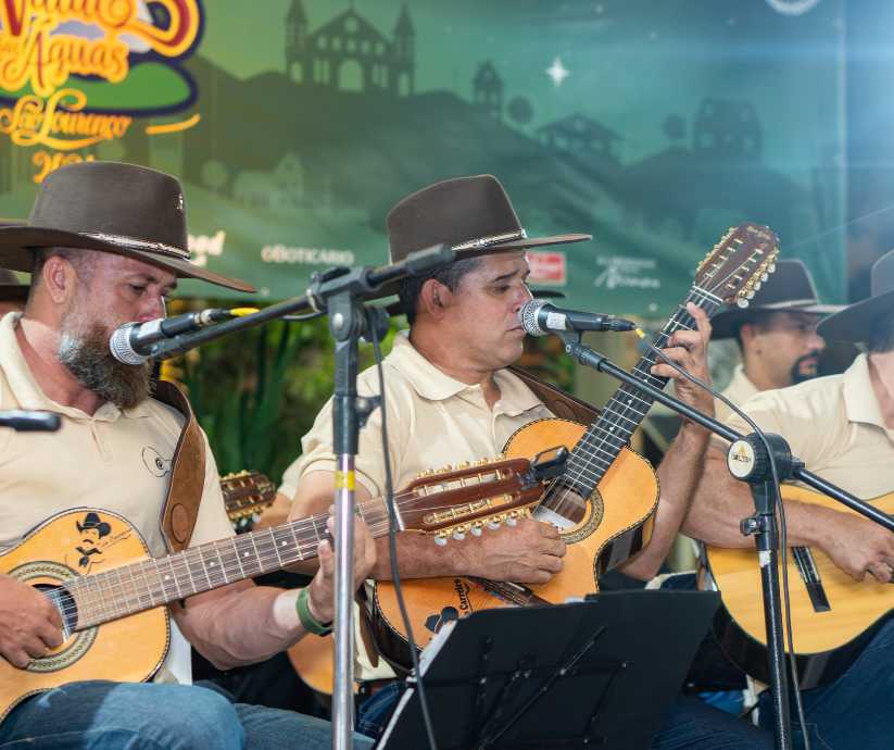 Orquestra de Violeiros - Natal das Águas São Lourenço